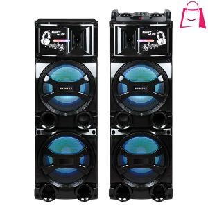 خرید اسپیکر طرح دیجی هوریون مدل Ho-15000D